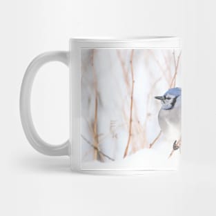 Blue Jay - Algonquin Park Mug